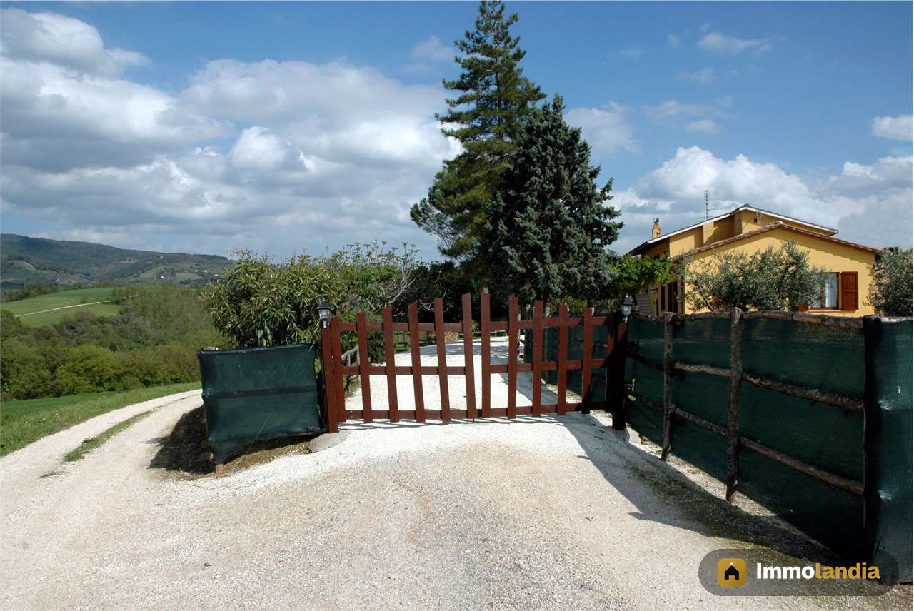 Immagine 3