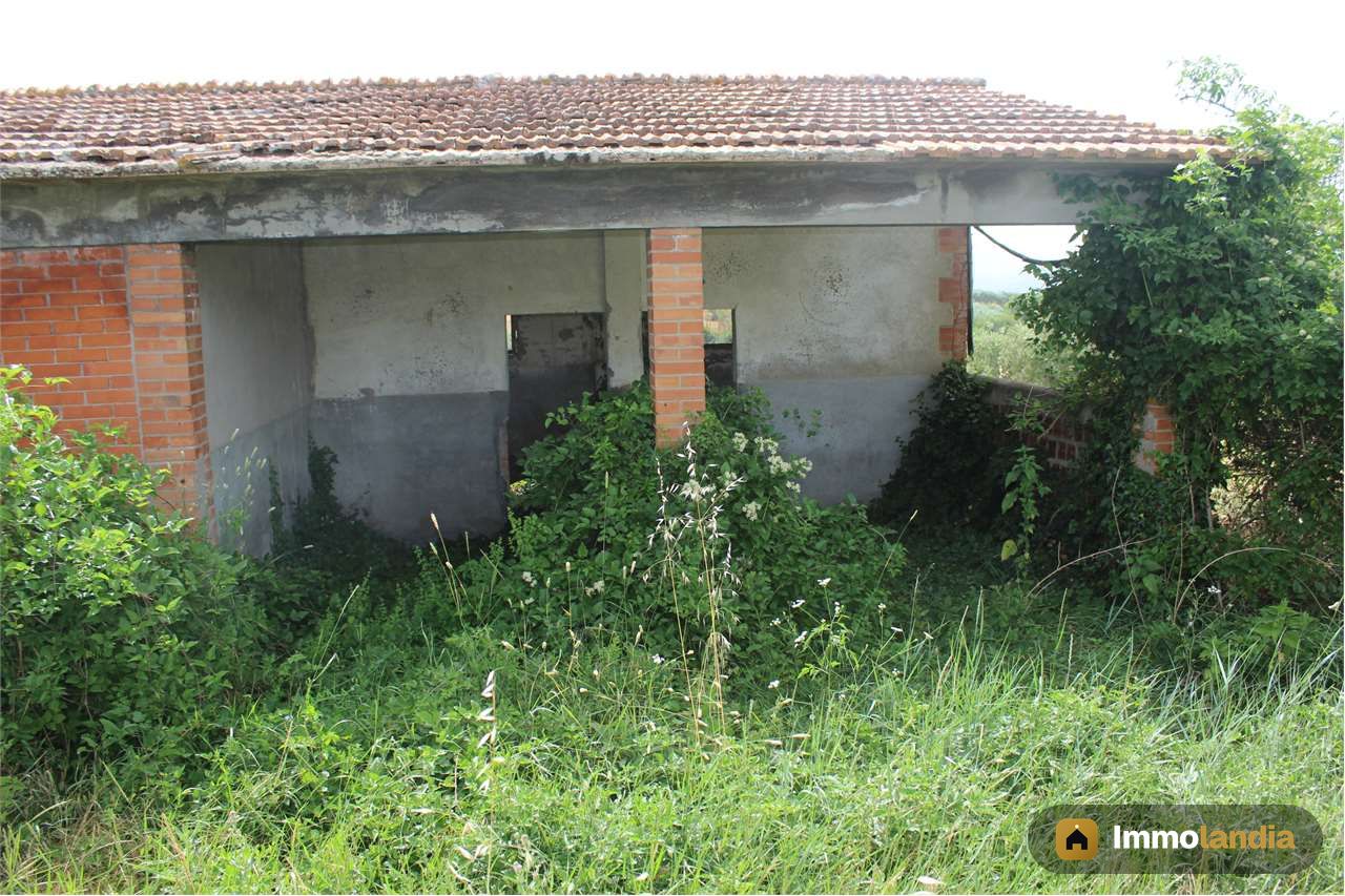 Immagine 2