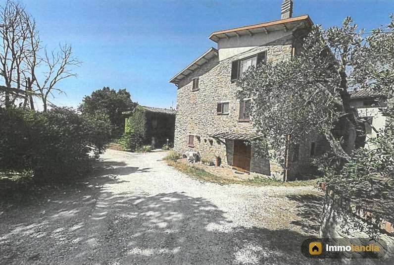 Immagine 2