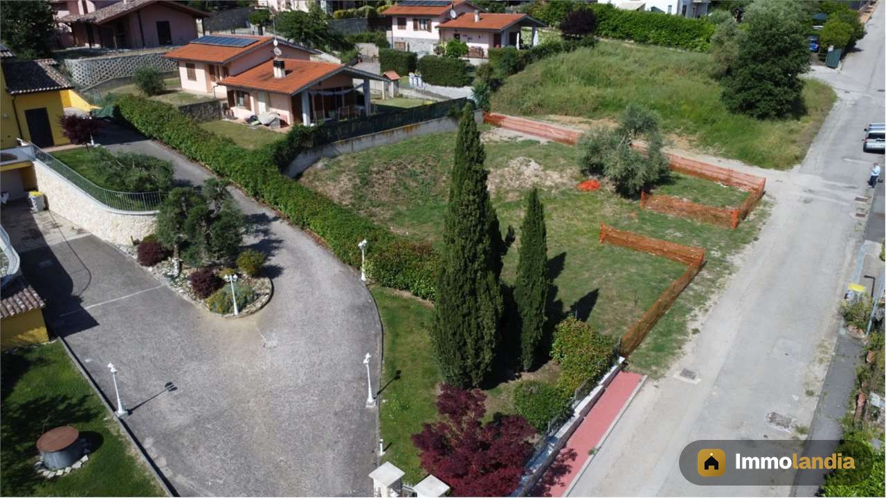 Immagine 3