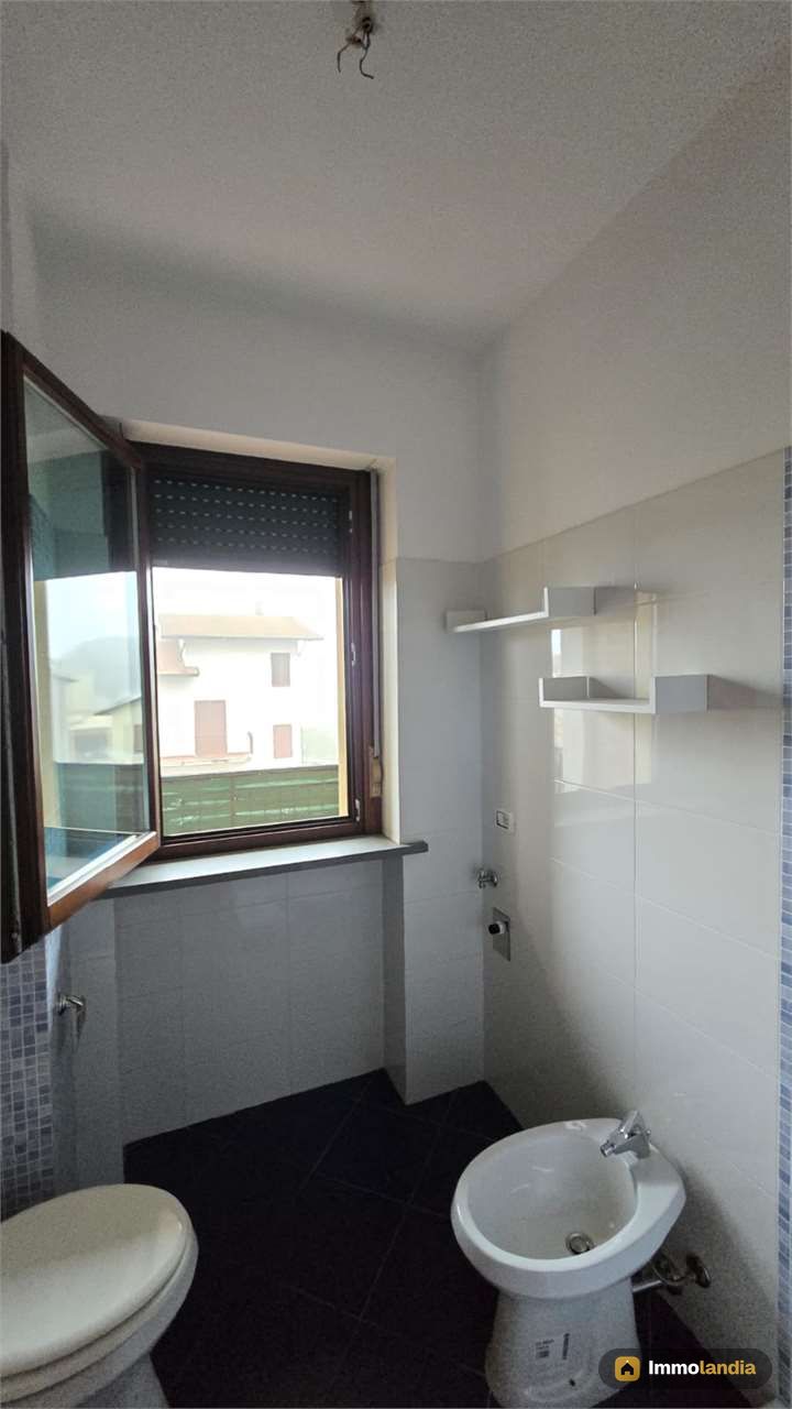 Immagine 6