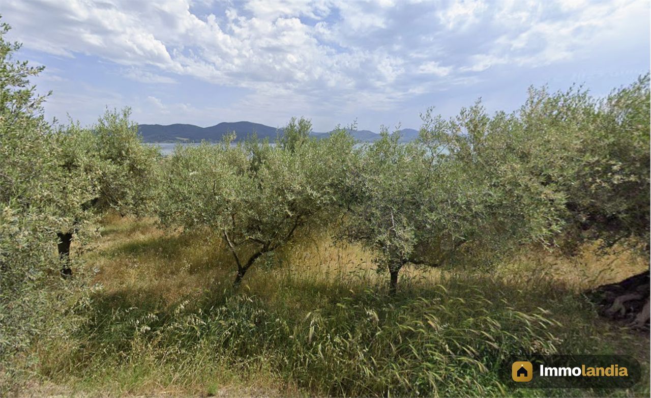 Immagine 3