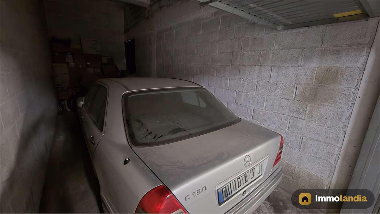 Immagine 2