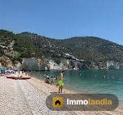 Immagine 3