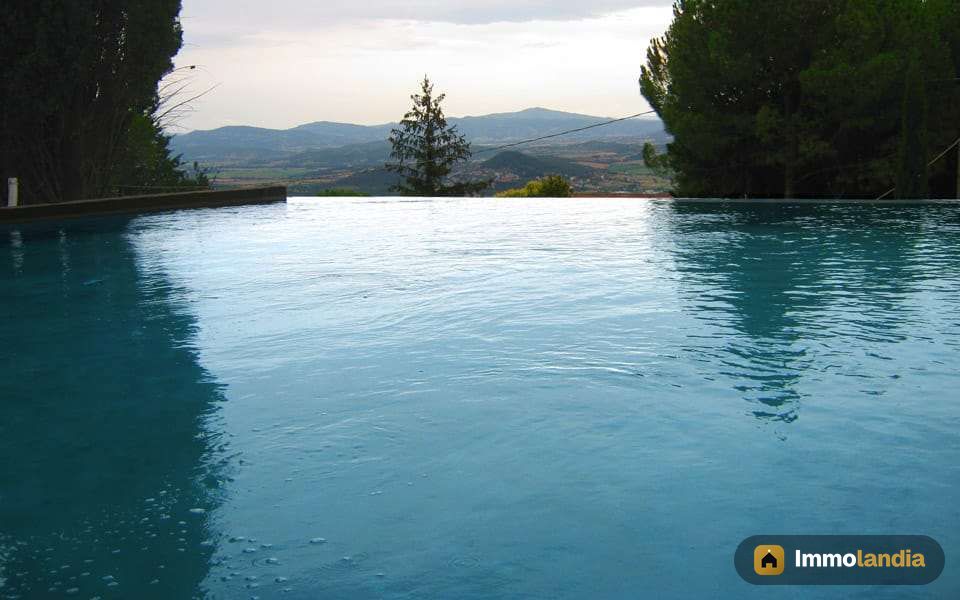 Immagine 3