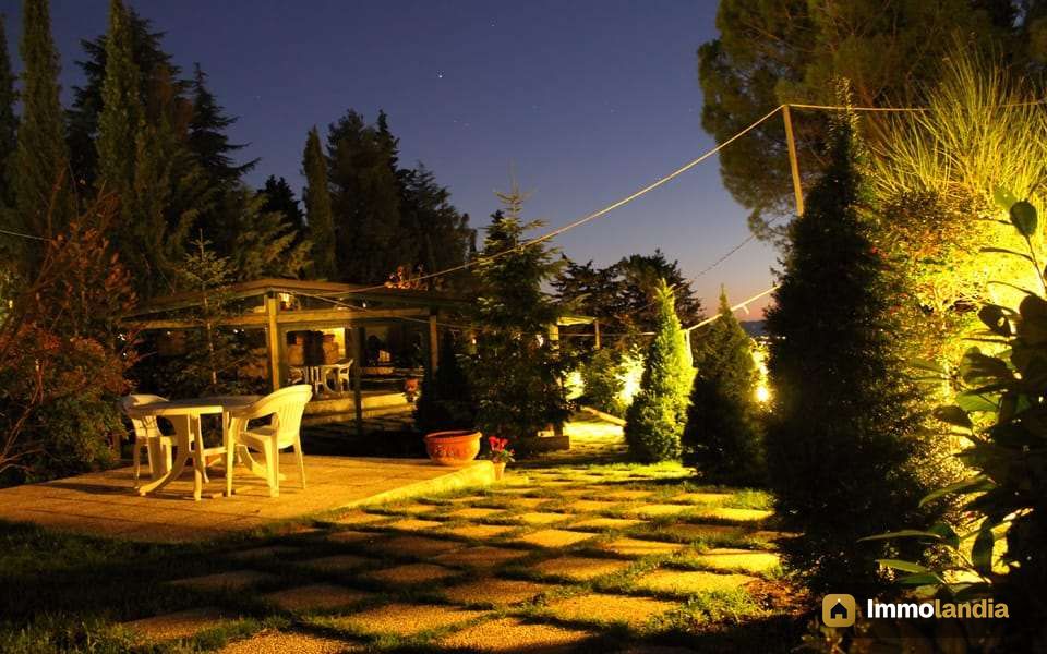 Immagine 2