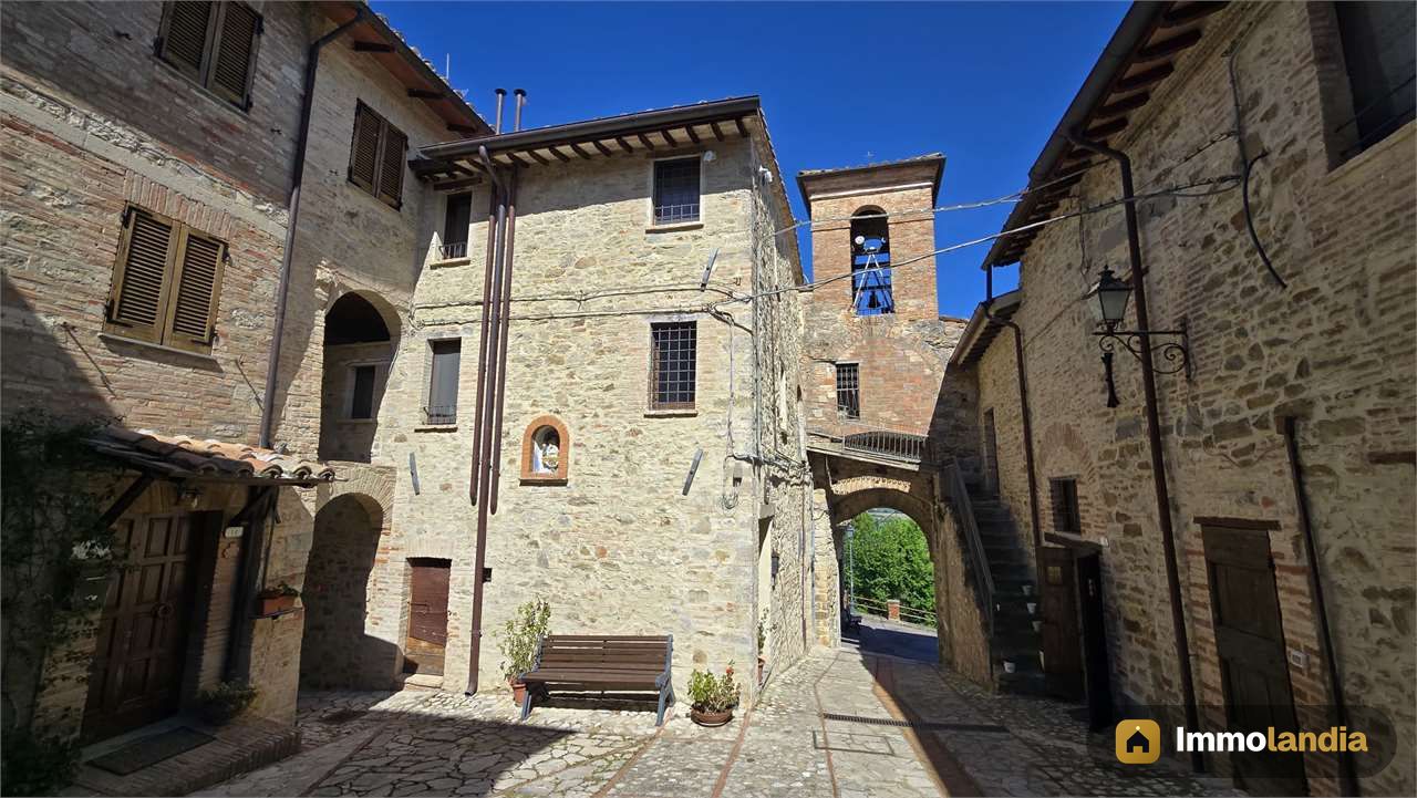Immagine 5