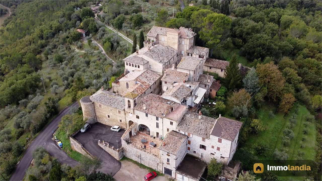Immagine 3
