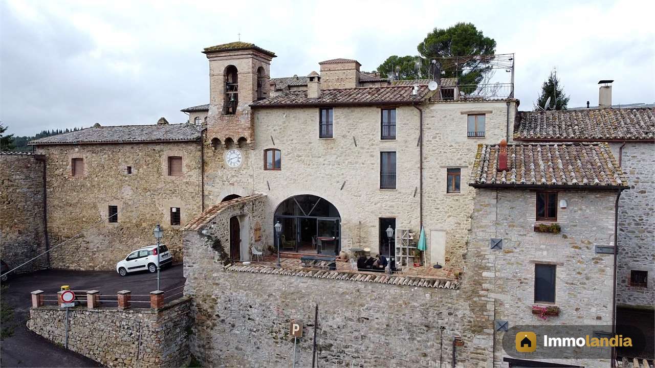 Immagine 2