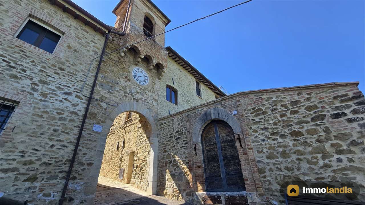 Immagine 6