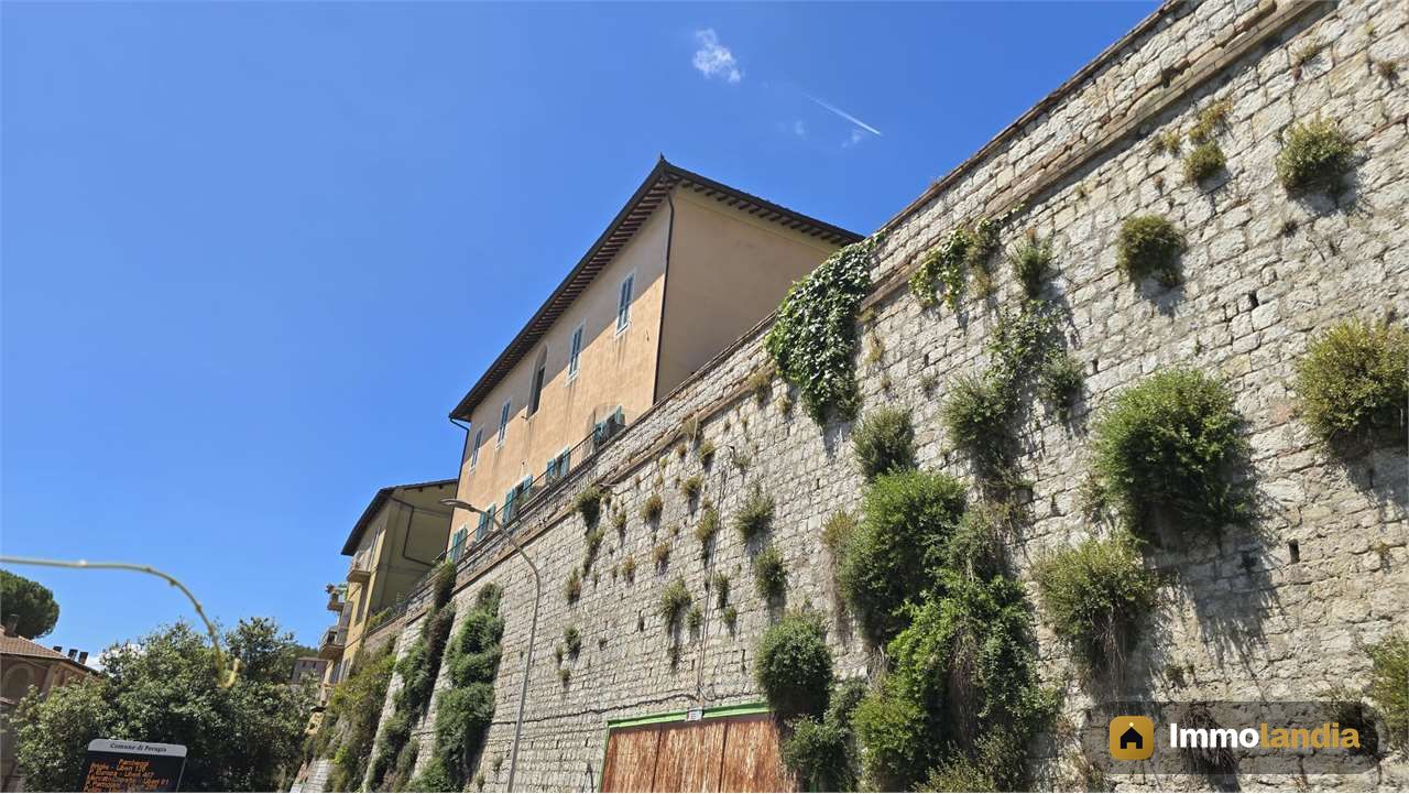 Immagine 3