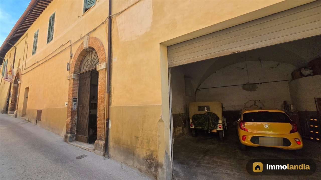 Immagine 6