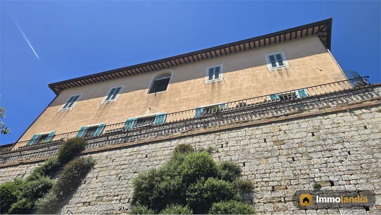 Immagine 2