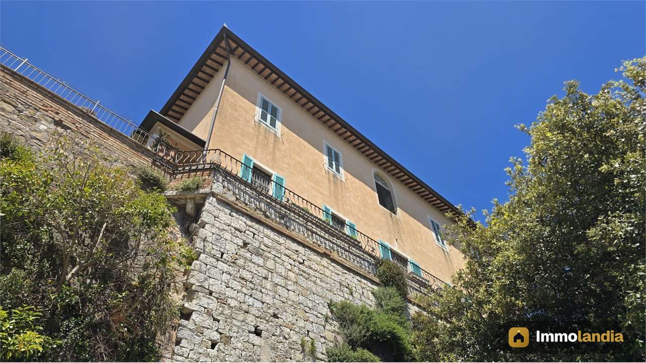 Immagine 4