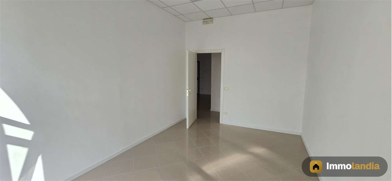 Immagine 2