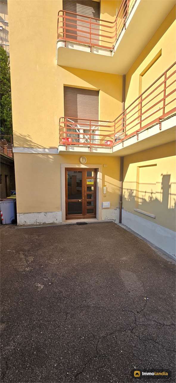 Immagine 3