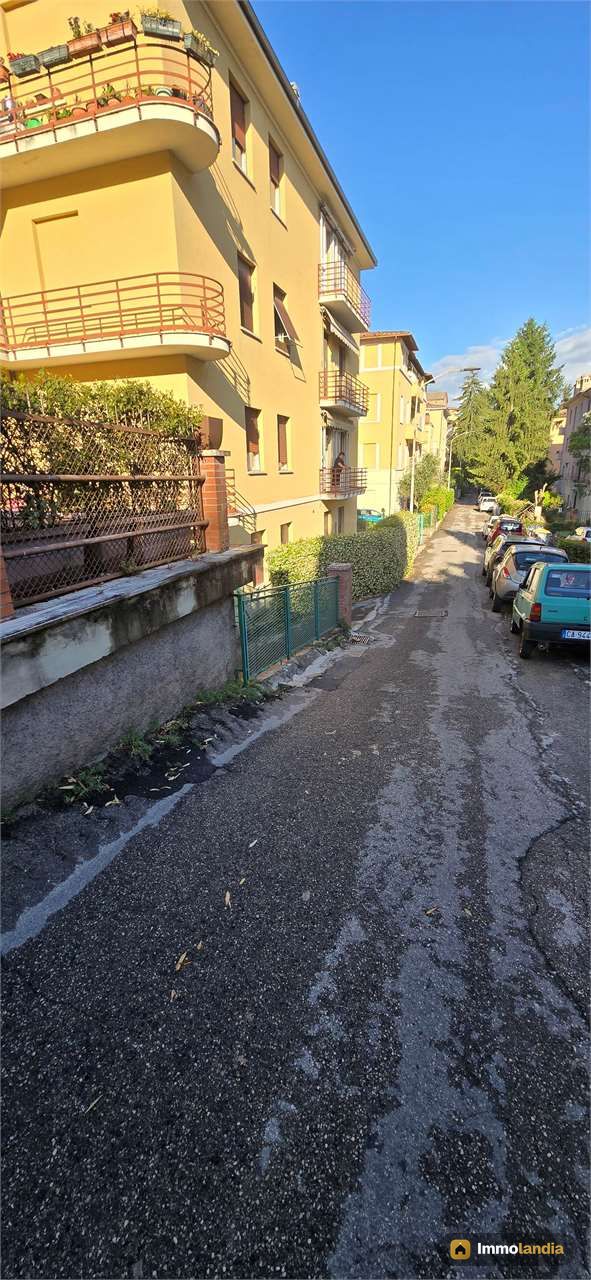 Immagine 2