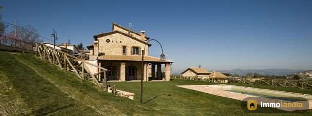 Immagine 6