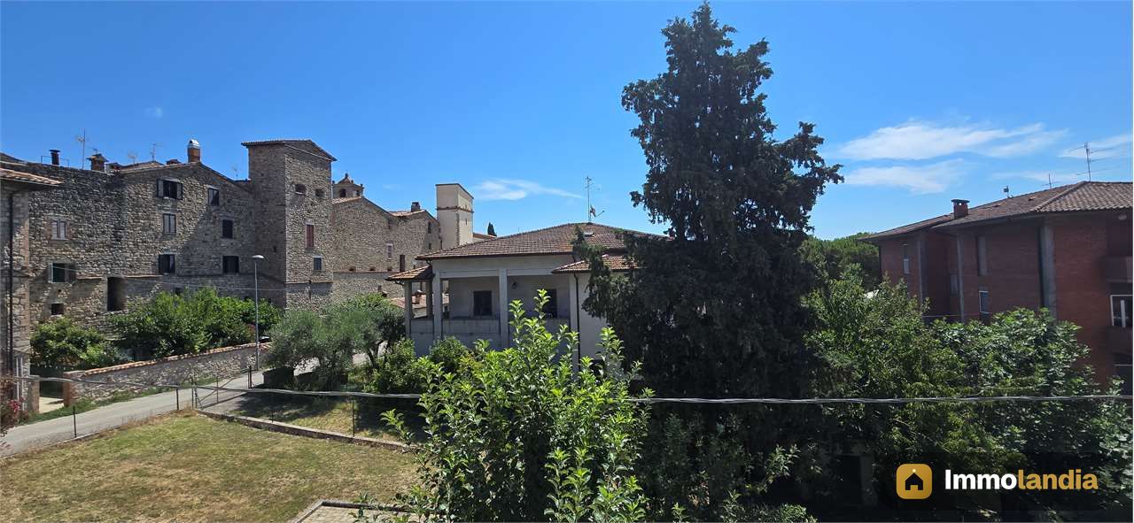 Immagine 6