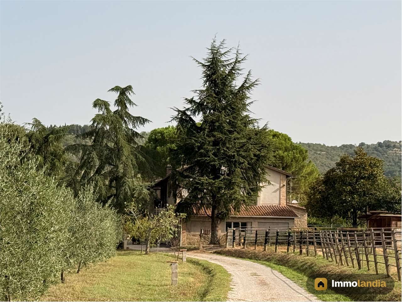 PORZIONE DI CASALE CON TERRENO E OLIVI
