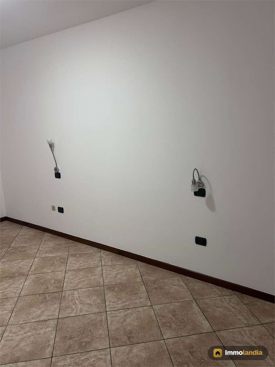 Immagine 6