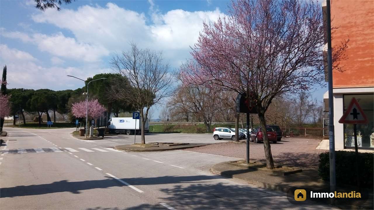 Immagine 6