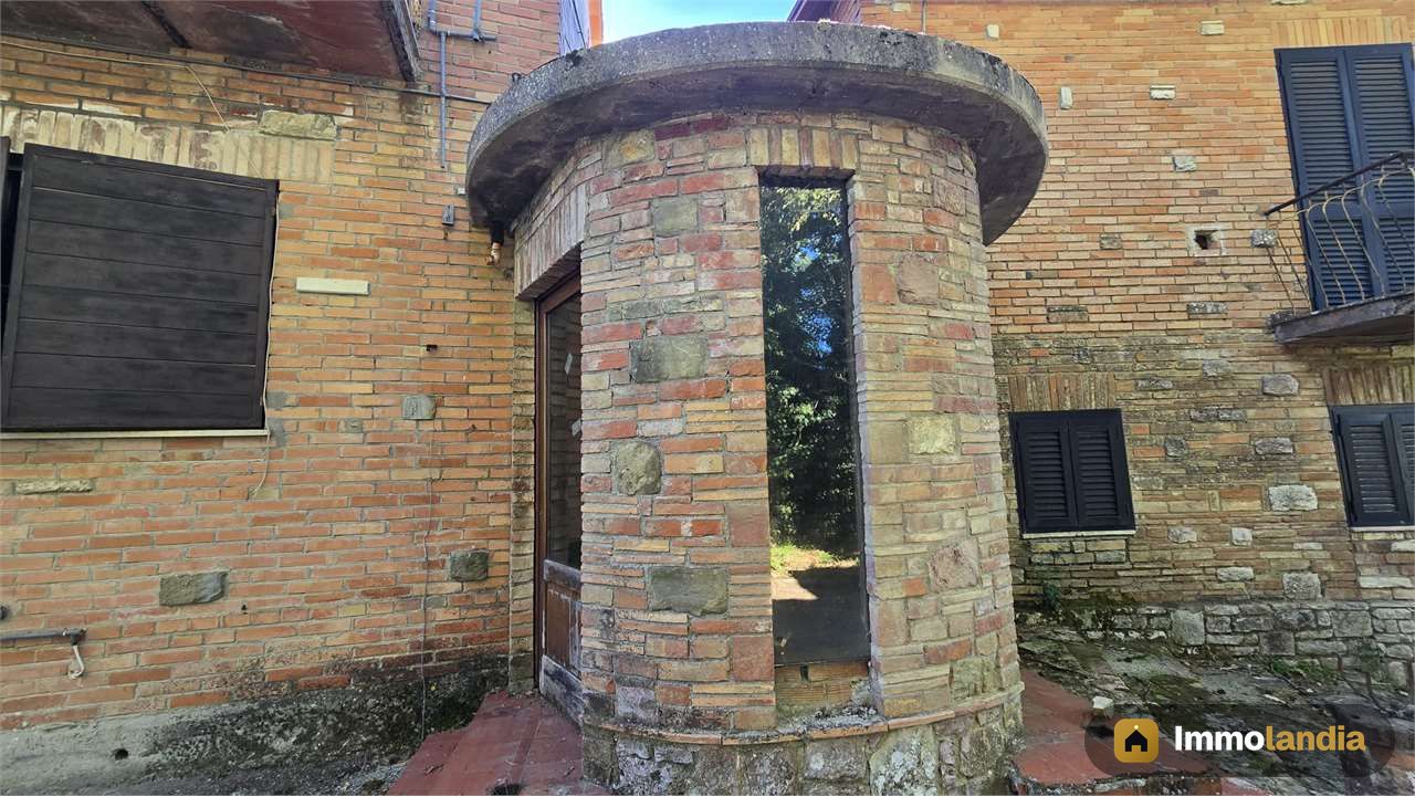 Immagine 2