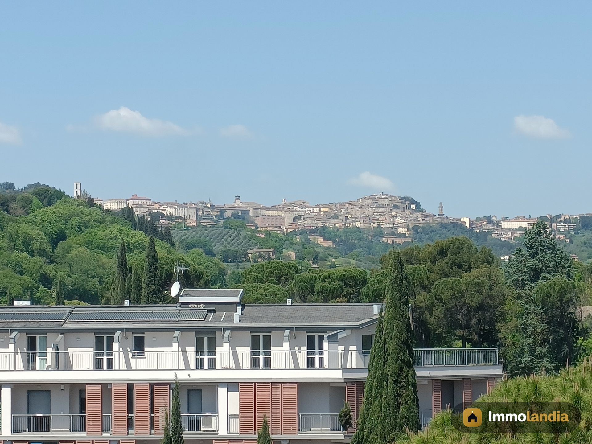 Immagine 2