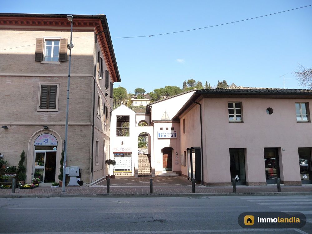 Immagine 4