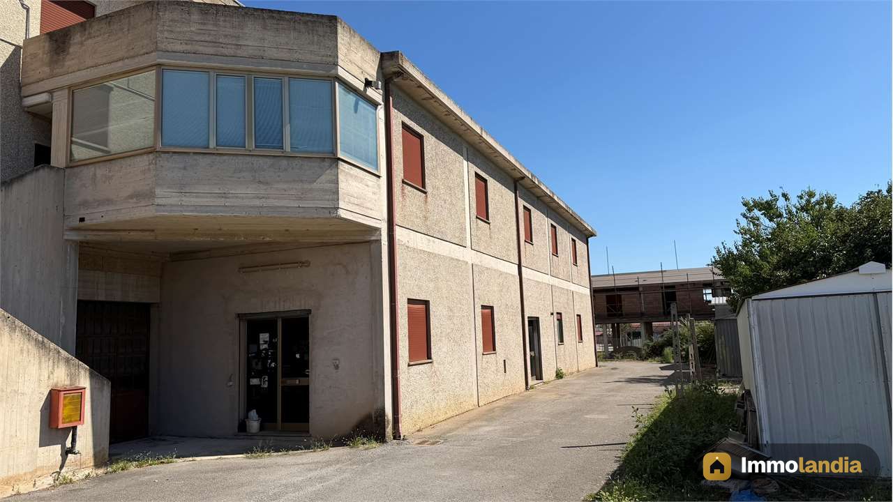 Immagine 6