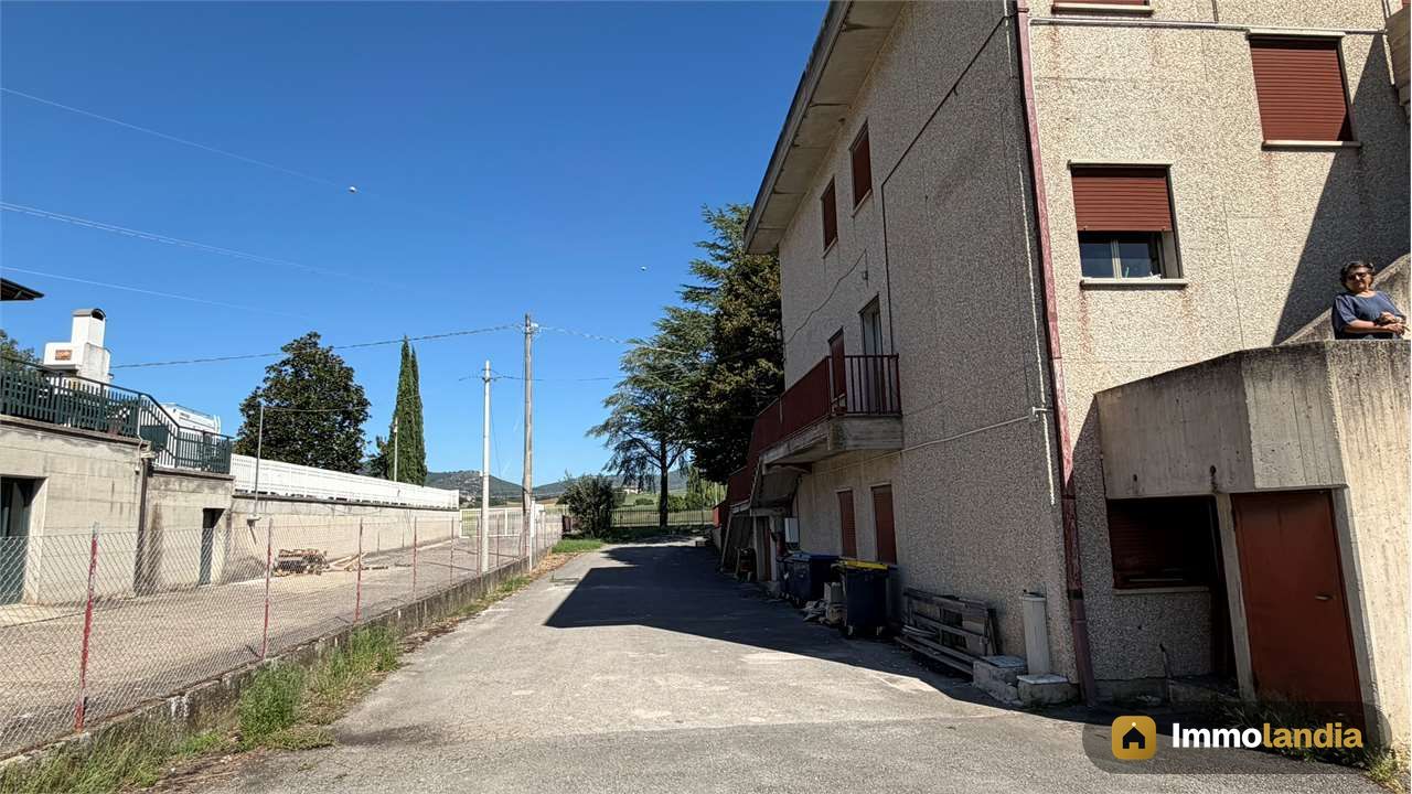 Immagine 4