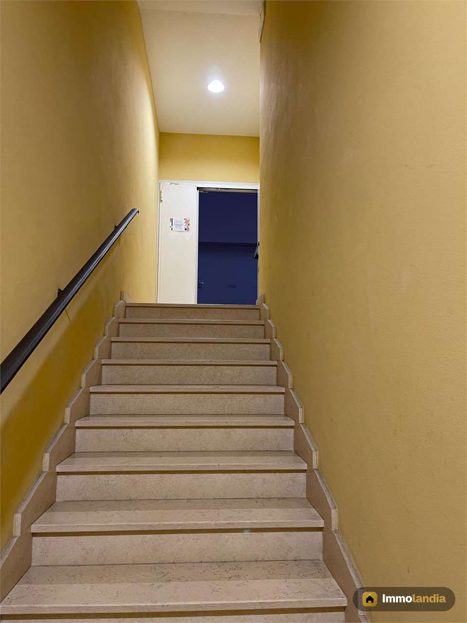 Immagine 3