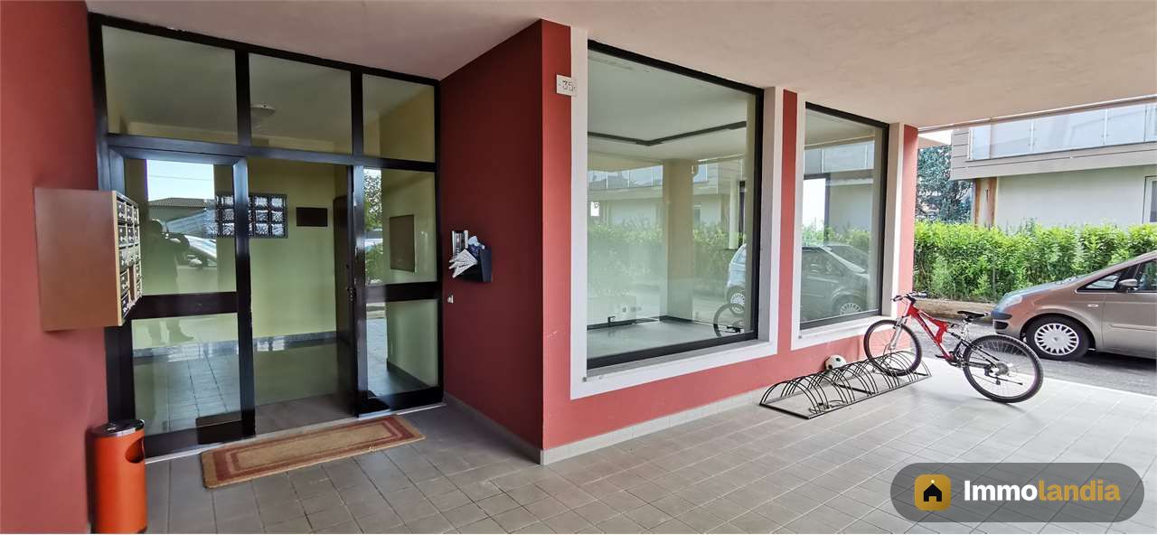 Immagine 2