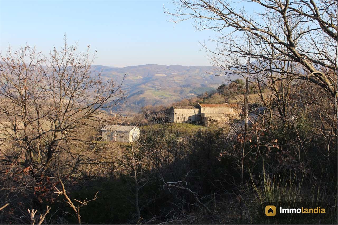 Immagine 6