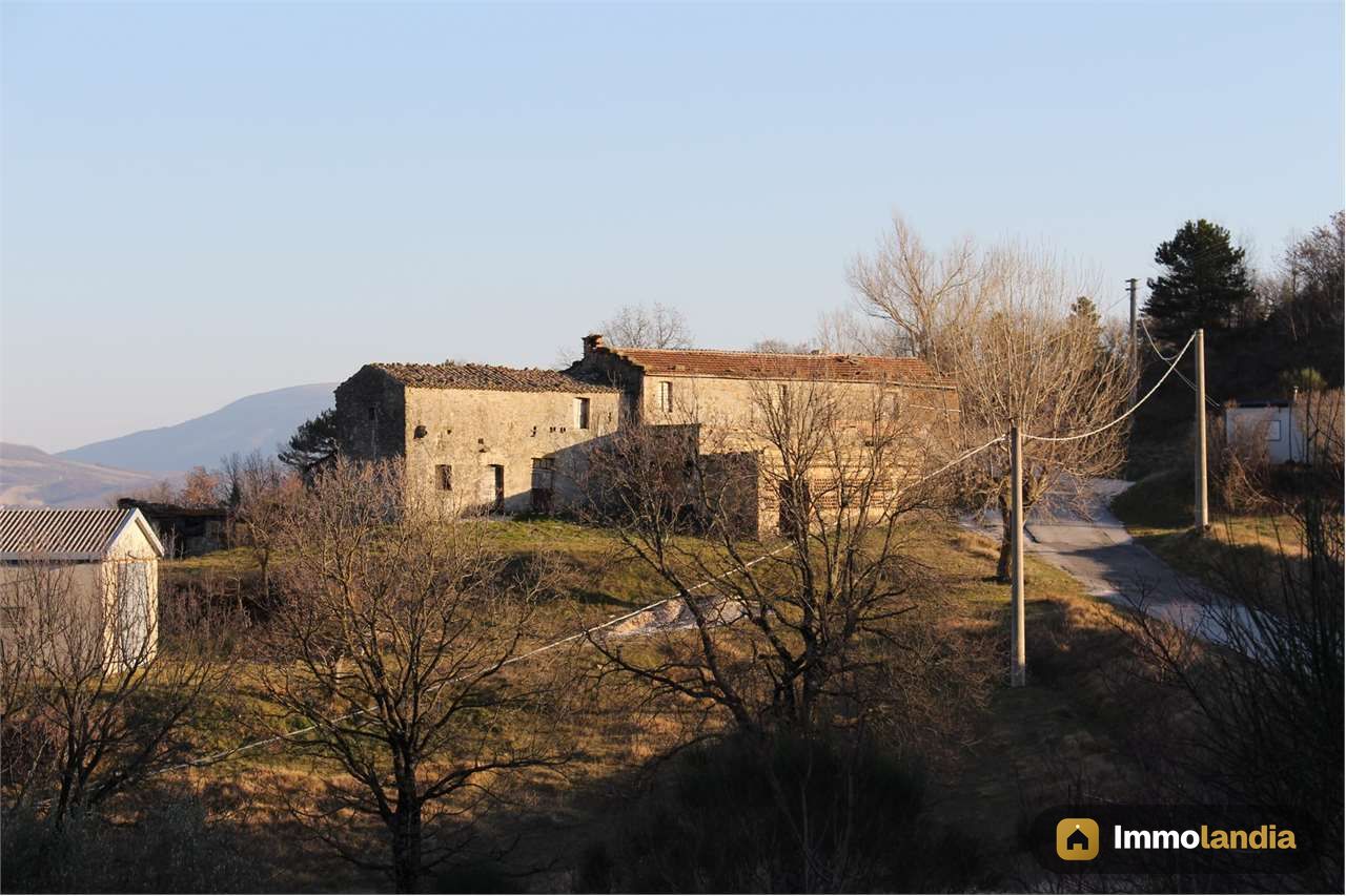 Immagine 2