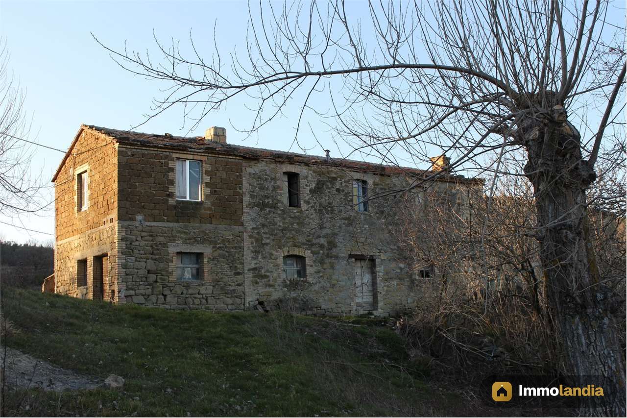 Immagine 4